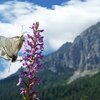 natura e paesaggio trentino