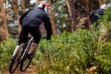 Adobe Stock copertina bikeparks trentino