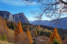 autunno larici prati del monte lefre vista vs monte mezza
