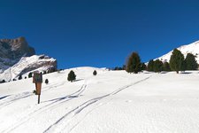escursione invernale Passo Lusia
