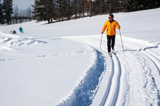 stux cross country skiing